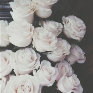 Meet your Posher, Kaylee